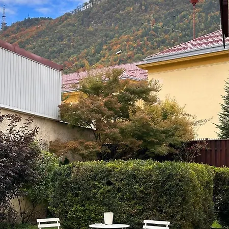 Wonderfull Cozy - Old Town Center